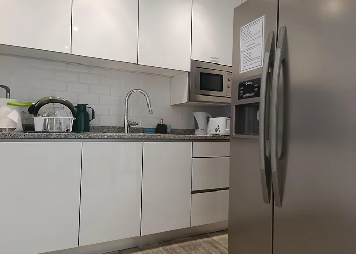 Cachinnans & Vila do Conde