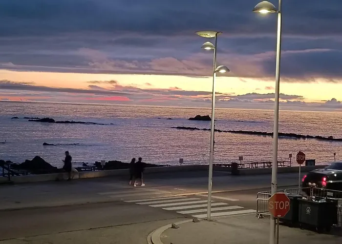 Cachinnans & Vila do Conde