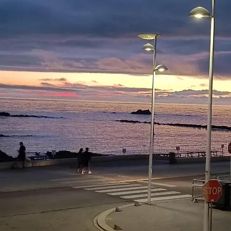 Cachinnans & Vila do Conde