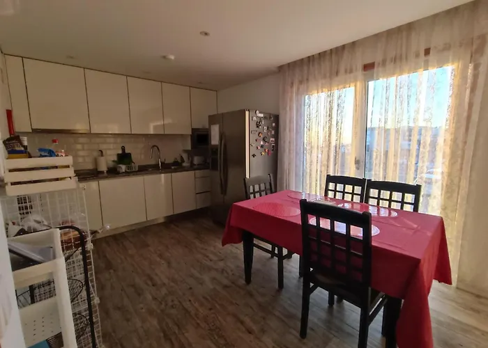 Cachinnans & 호스텔