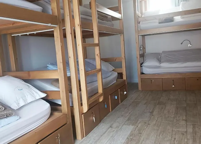 Cachinnans & 호스텔 *