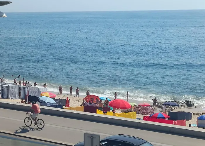 호스텔 Cachinnans & *